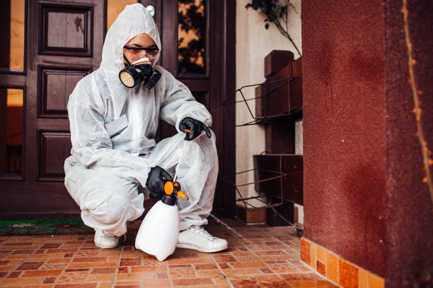 Reliable Wasp Removal contractor in Comanche, TX by Show Me Pest Control